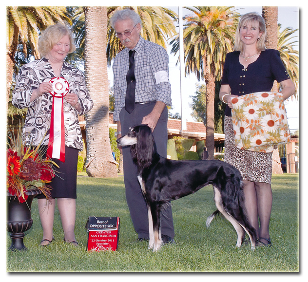 Aria wins BOS from the veterans class!