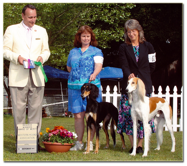 JJ and Seca win at the Western Hound Show!