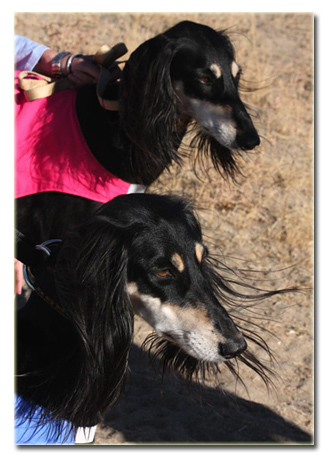 Malina and Spiro