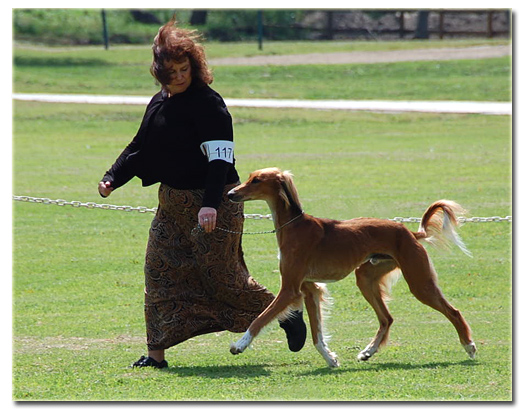 Quila loves to show!