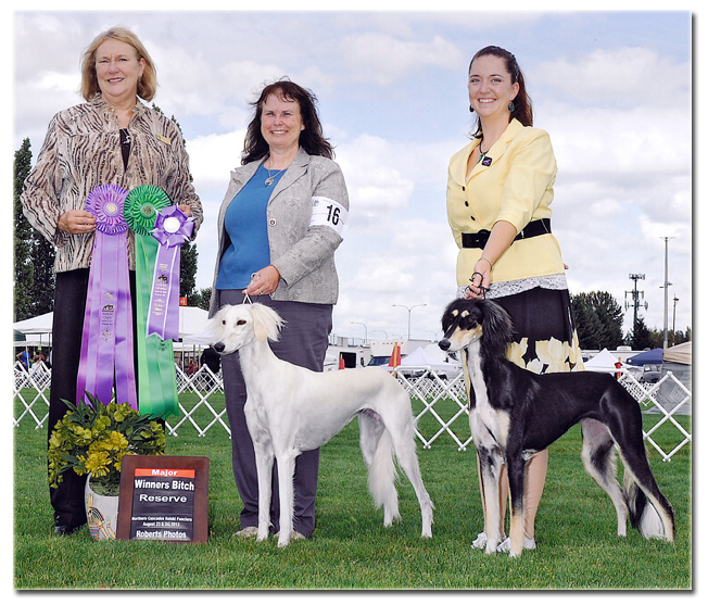 Sparkle and Summer at the NCSF specialty show!